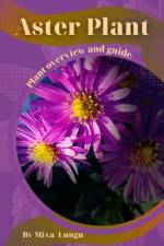 Aster Plant af Mixa Lungu