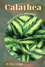 Calathea af Mixa Lungu