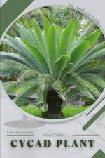 Cycad Plant af Andrey Lalko