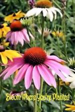 Bloom Where You're Planted af Patricia Urato