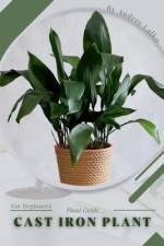 Cast Iron plant af Andrey Lalko