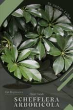 Schefflera arboricola af Andrey Lalko