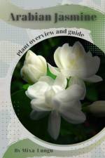 Arabian Jasmine af Mixa Lungu