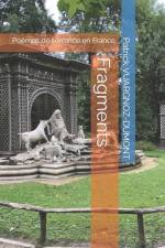 Fragments af Patrick Vuargnoz-Dumont