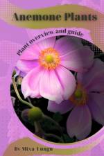 Anemone Plants af Mixa Lungu