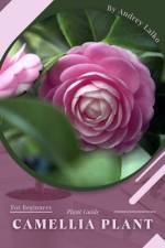 Camellia Plant af Andrey Lalko