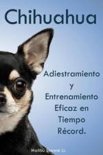Chihuahua af Malibú Simoné LL