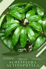Schefflera actinophylla af Andrey Lalko