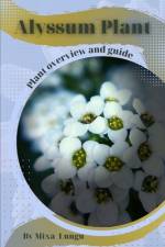 Alyssum Plant af Mixa Lungu
