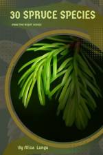 30 Spruce species af Mixa Lungu