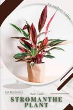 Stromanthe Plant af Andrey Lalko