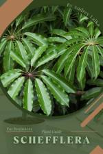 Schefflera af Andrey Lalko