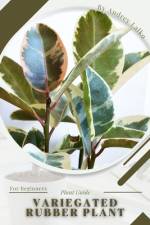 Variegated Rubber Plant af Andrey Lalko