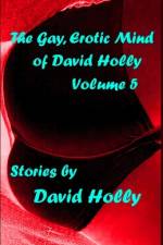 The Gay, Erotic Mind of David Holly, Volume 5 af David Holly