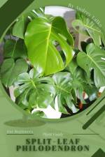 Split-Leaf Philodendron af Andrey Lalko