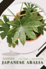 Japanese Aralia af Andrey Lalko