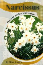 Narcissus af Mixa Lungu