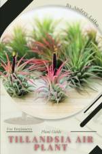 Tillandsia Air Plant af Andrey Lalko