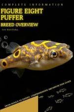 Figure eight puffer af Iva Novitsky