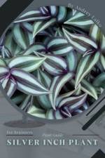 silver inch plant af Andrey Lalko