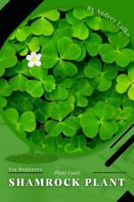 Shamrock Plant af Andrey Lalko