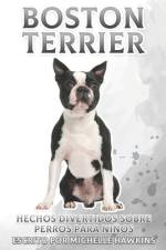 Boston Terrier af Michelle Hawkins