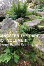 Gangster They Are Not Volume 1 af Jimmy Boom Semtex