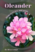 Oleander af Mixa Lungu
