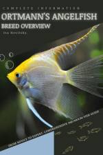Ortmann's Angelfish af Iva Novitsky