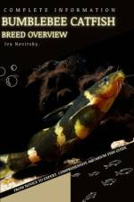 bumblebee catfish af Iva Novitsky