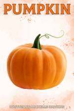 Pumpkin af Michelle Hawkins