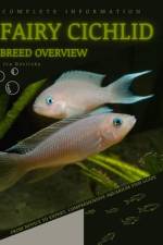Fairy Cichlid af Iva Novitsky