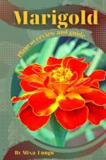 Marigold af Mixa Lungu