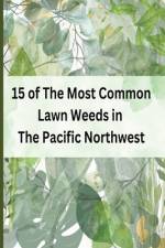 15 of The Most Common Lawn Weeds in The Pacific Northwest af Souls Closet