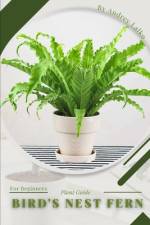 Bird's Nest Fern af Petal Prodigy