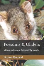 Possums & Gliders af Donna Racheal