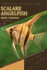 Scalare Angelfish af Iva Novitsky