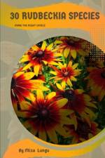 30 Rudbeckia species af Mixa Lungu