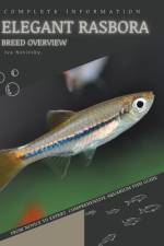Elegant Rasbora af Iva Novitsky