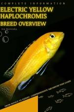 Electric Yellow Haplochromis af Iva Novitsky