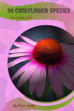 30 Coneflower species af Mixa Lungu