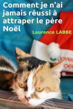 Comment je n'ai jamais réussi à attraper le père Noël af Laurence Labbé