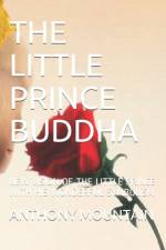 The Little Prince Buddha af Anthony Mountain
