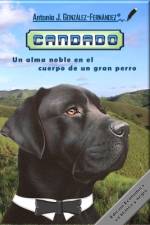 Candado af Documentos Digitales Origin Docdigori(r)