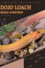 Dojo Loach af Iva Novitsky