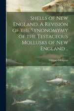 Shells of New England. A Revision of the Synonomymy of the Testaceous Mollusks of New England .. af William Stimpson