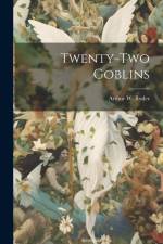 Twenty-Two Goblins af Ryder Arthur W. (Arthur William)