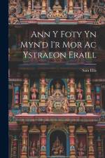 Ann y Foty yn Myn'd i'r Mor Ac Ystraeon Eraill af Sam Ellis