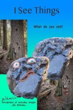 I See Things: Whimsical Perceptions of Everyday Images af Ric Eittreim
