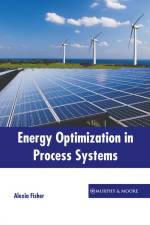 Energy Optimization in Process Systems af Alexia Fisher
